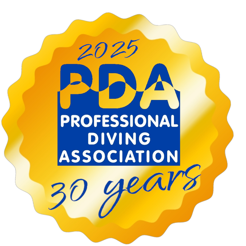 PDA Tauchkurs, Mannheim, Heidelberg, Stuttgart, Pasau, Frankfurt, Kellinghusen, Leverkusen, Plau am See,  Arnstein, Pirmasens, Passau, Greifswald, 